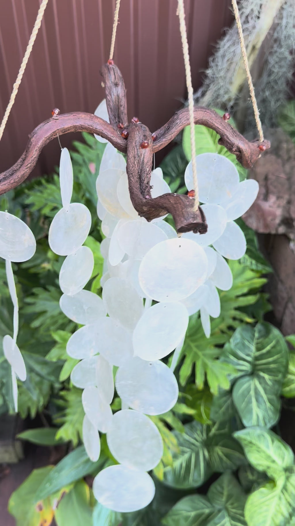 Capiz Shell Ornament