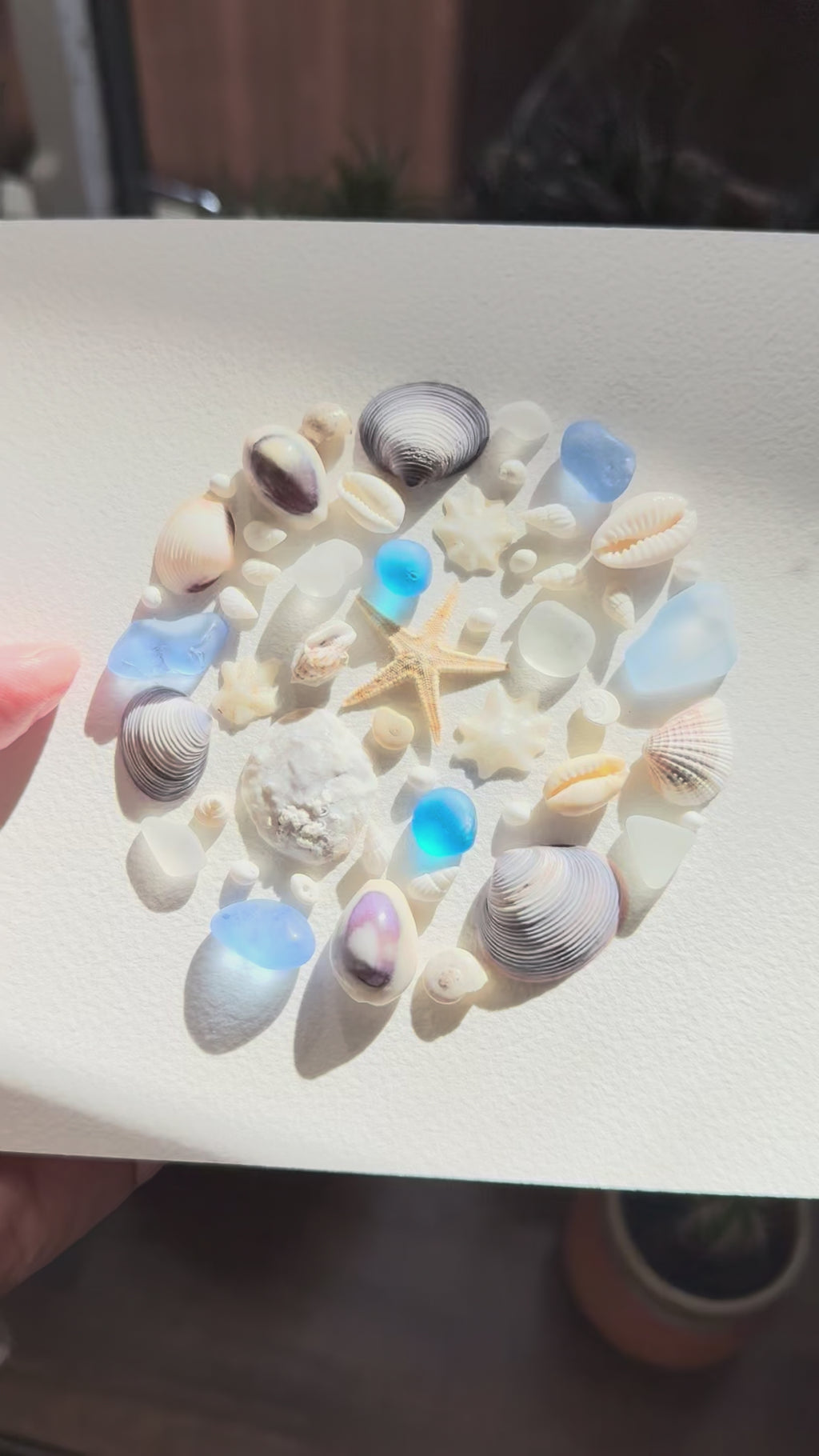 Blue & White Coastal Seashell Art