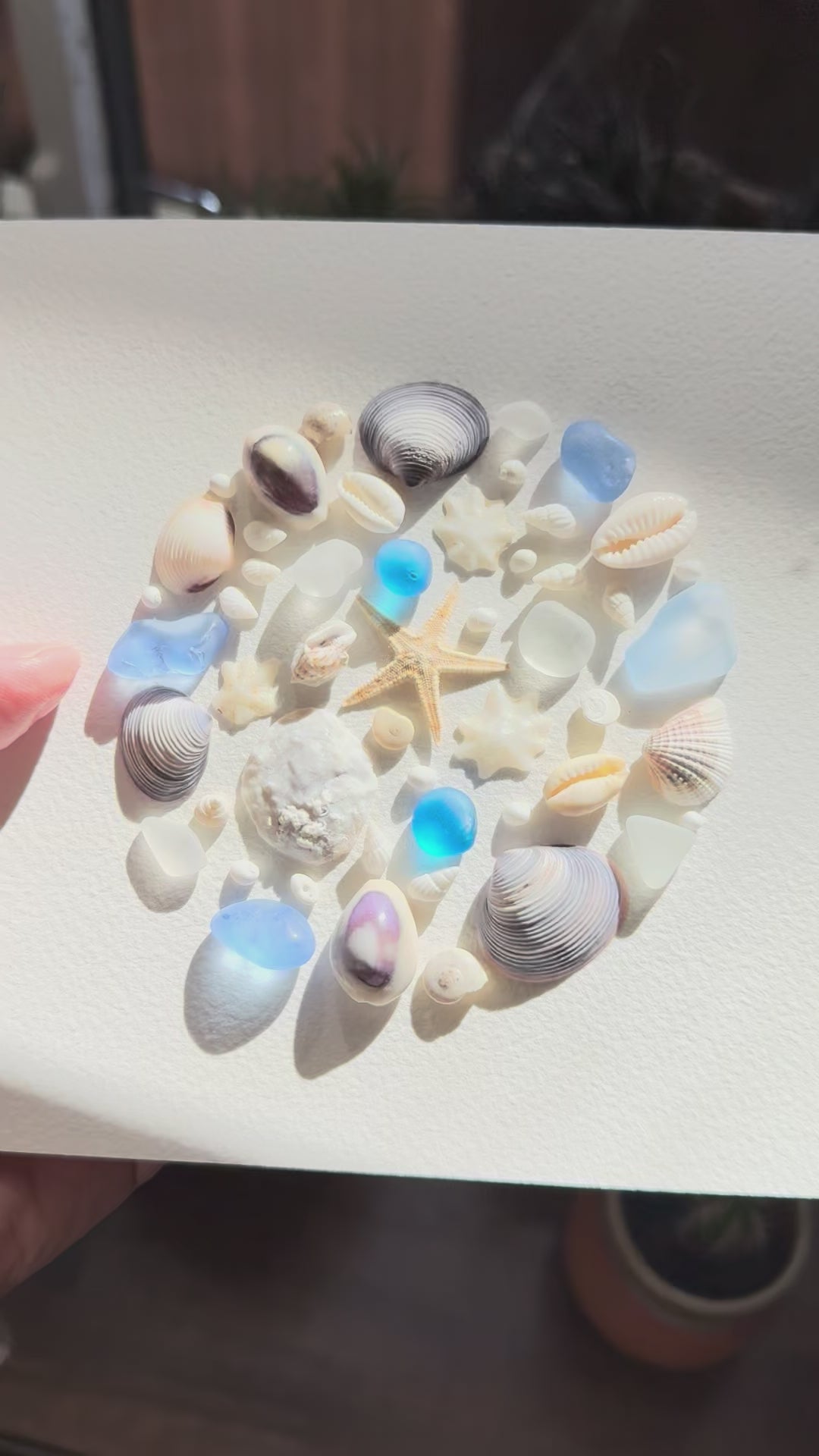 Blue & White Coastal Seashell Art