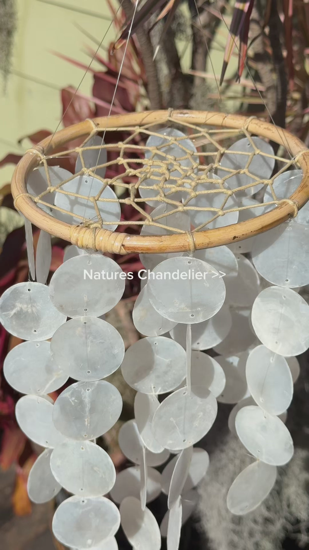 Capiz Shell Dreamcatcher
