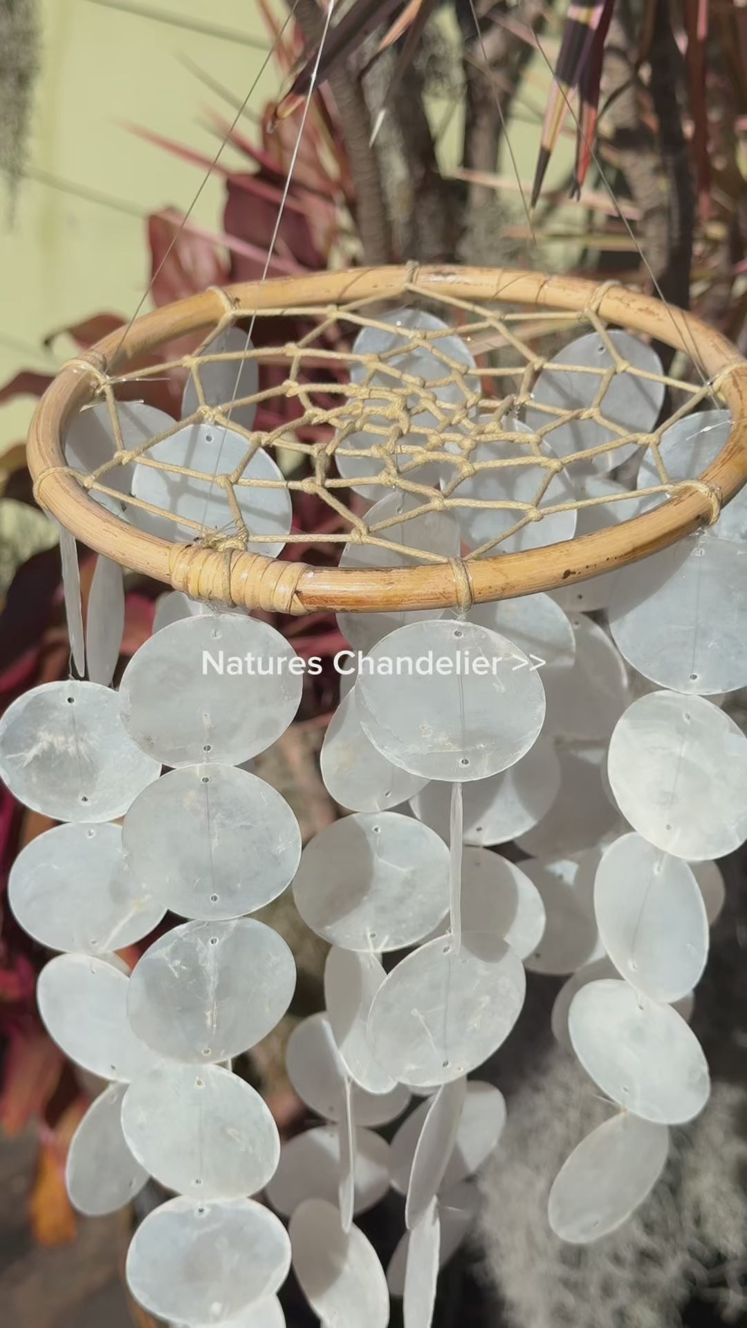 Capiz Shell Dreamcatcher